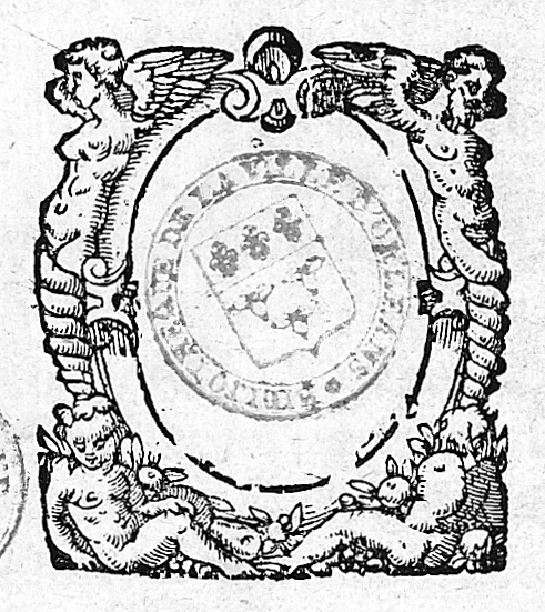 Numérisation d'un ornement
