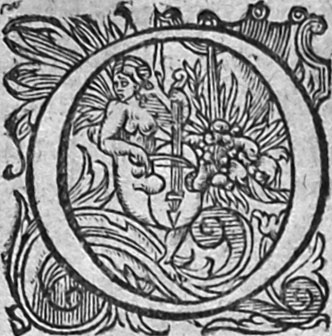 Numérisation d'un ornement