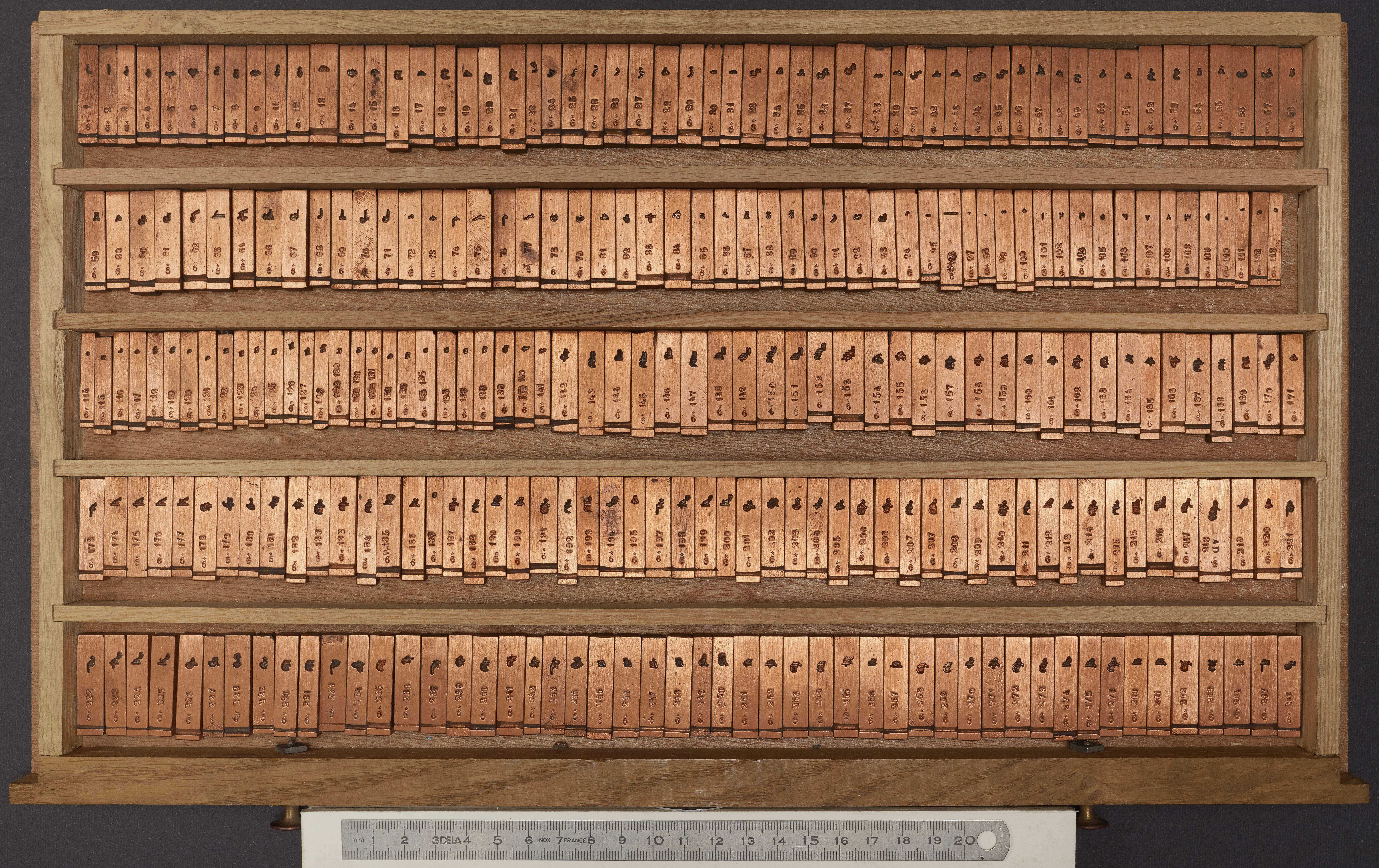 Image d'un ornement.