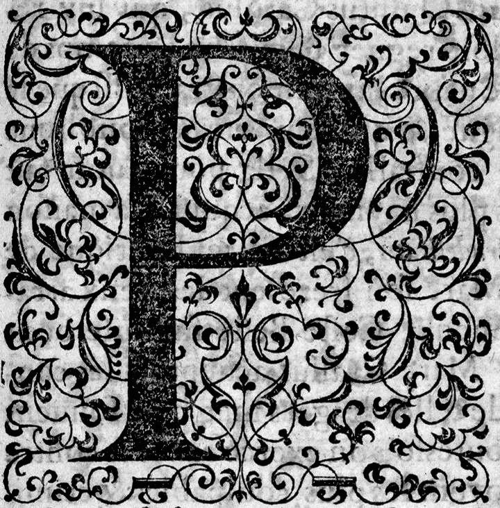 Numérisation d'un ornement