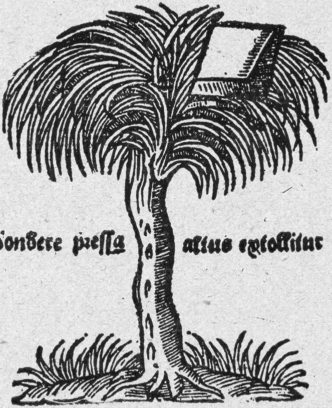 Numérisation d'un ornement