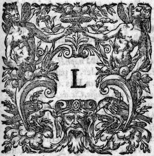 Numérisation d'un ornement