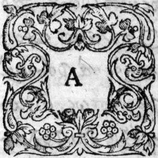 Numérisation d'un ornement
